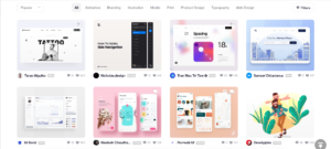 site inspiration