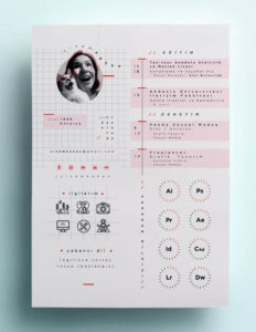 cv original illustrateur