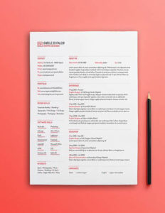 cv simpliste